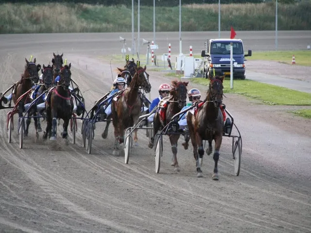 Hur analyserar man travstatistik