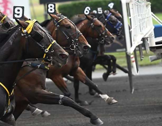 vilka startspår är bäst