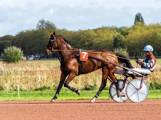 Hur analyserar man trav statistik