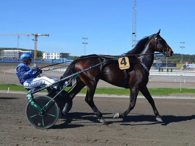 Vad är ett travlopp